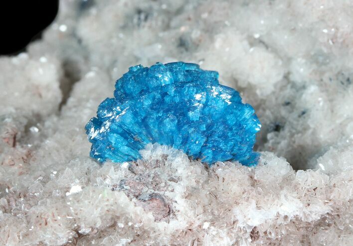Vibrant Blue Cavansite Cluster on Stilbite - India #45873